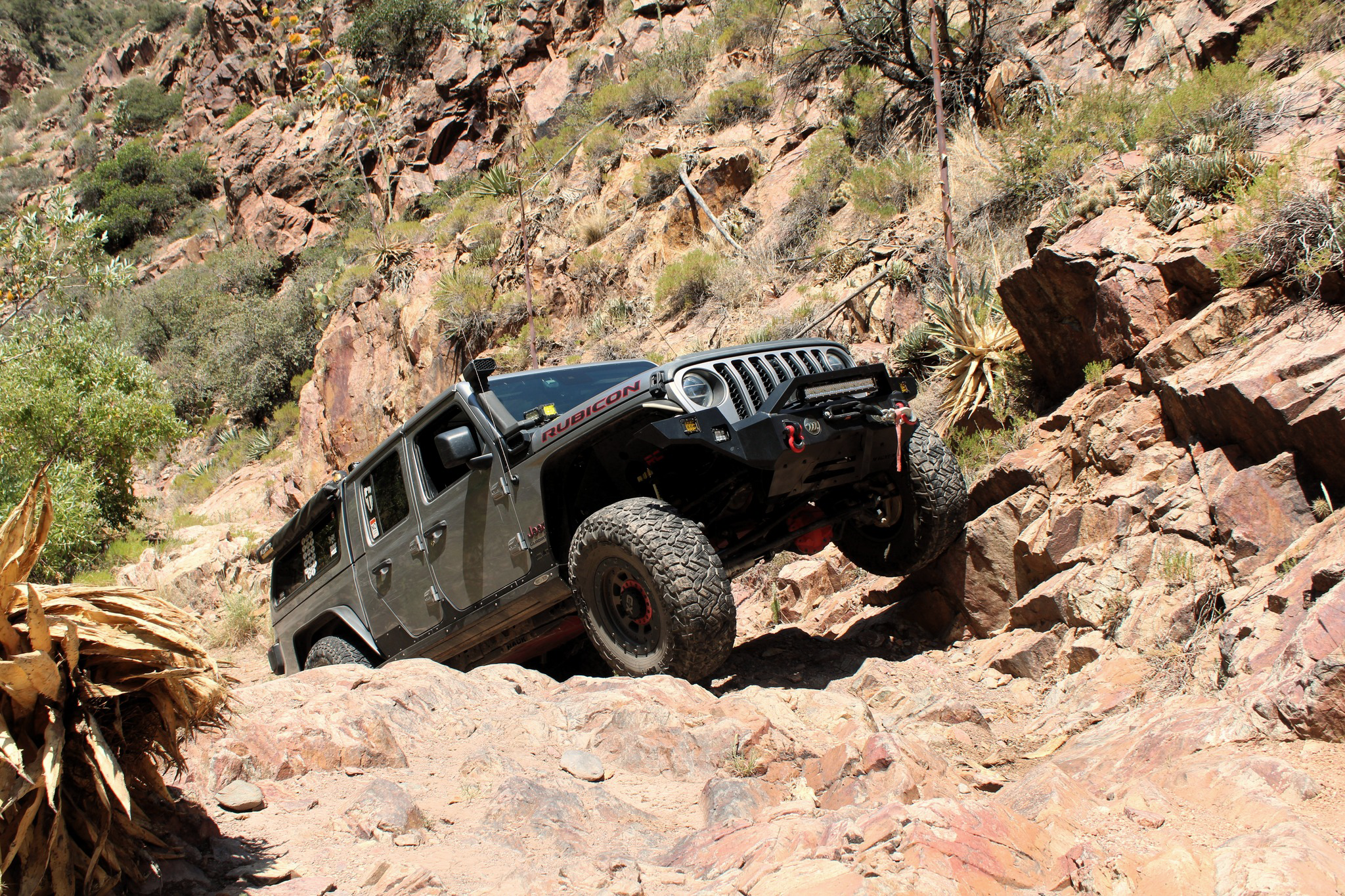 Hit Us With Your Best Shot!